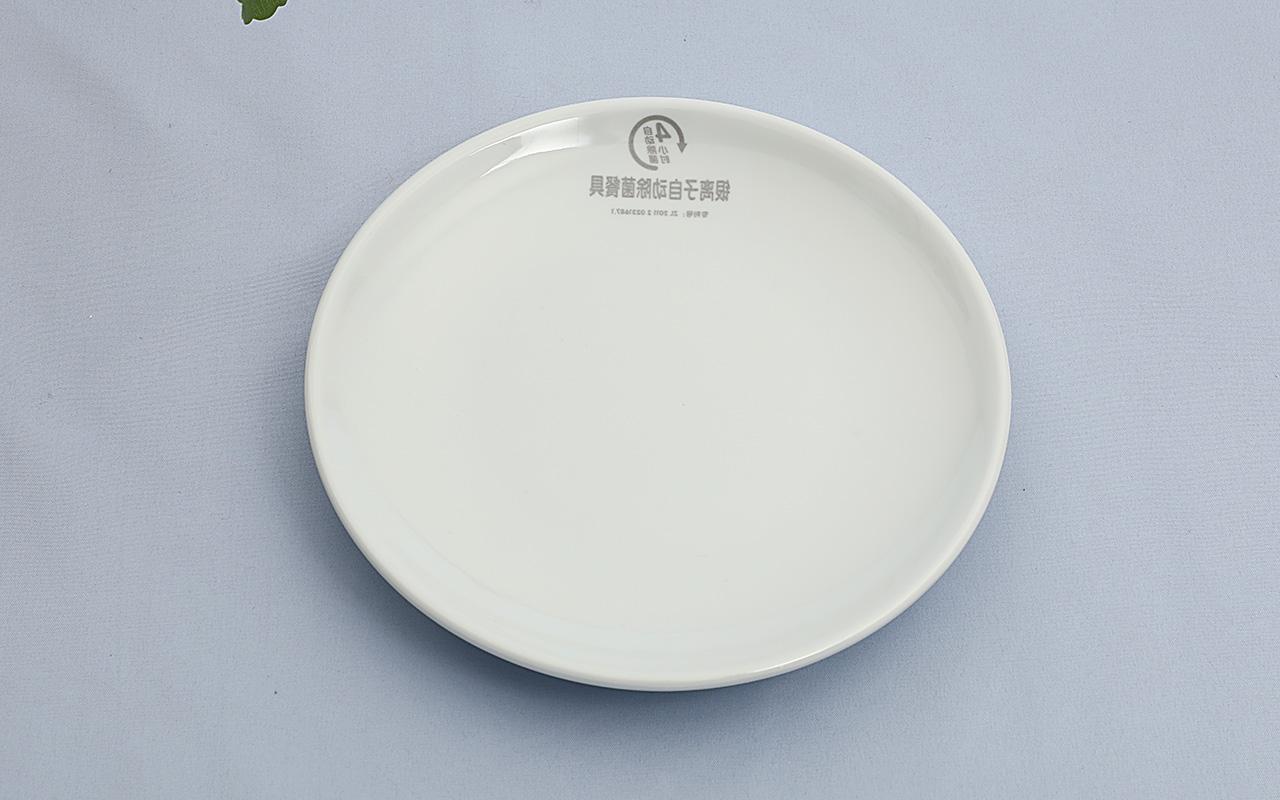 时尚火锅餐具-银离子圆碟